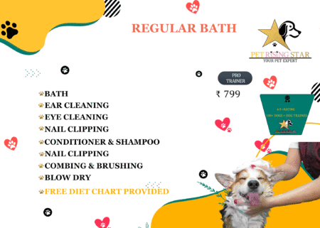 DOG REGULAR BATH