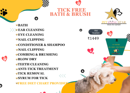 TICK FREE BATH & BRUSH
