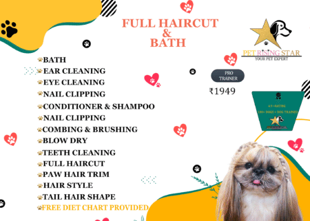 FULL HAIRCUT & BATH