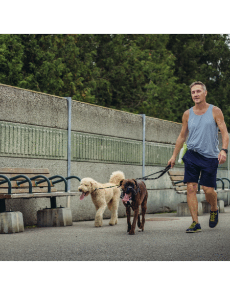 02 PETS Dog Walking/ Exercise (Twice a Day)