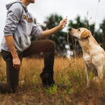 Dog Training in Delhi