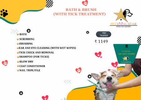 BATH & BRUSH (WITH TICK TREATMENT)