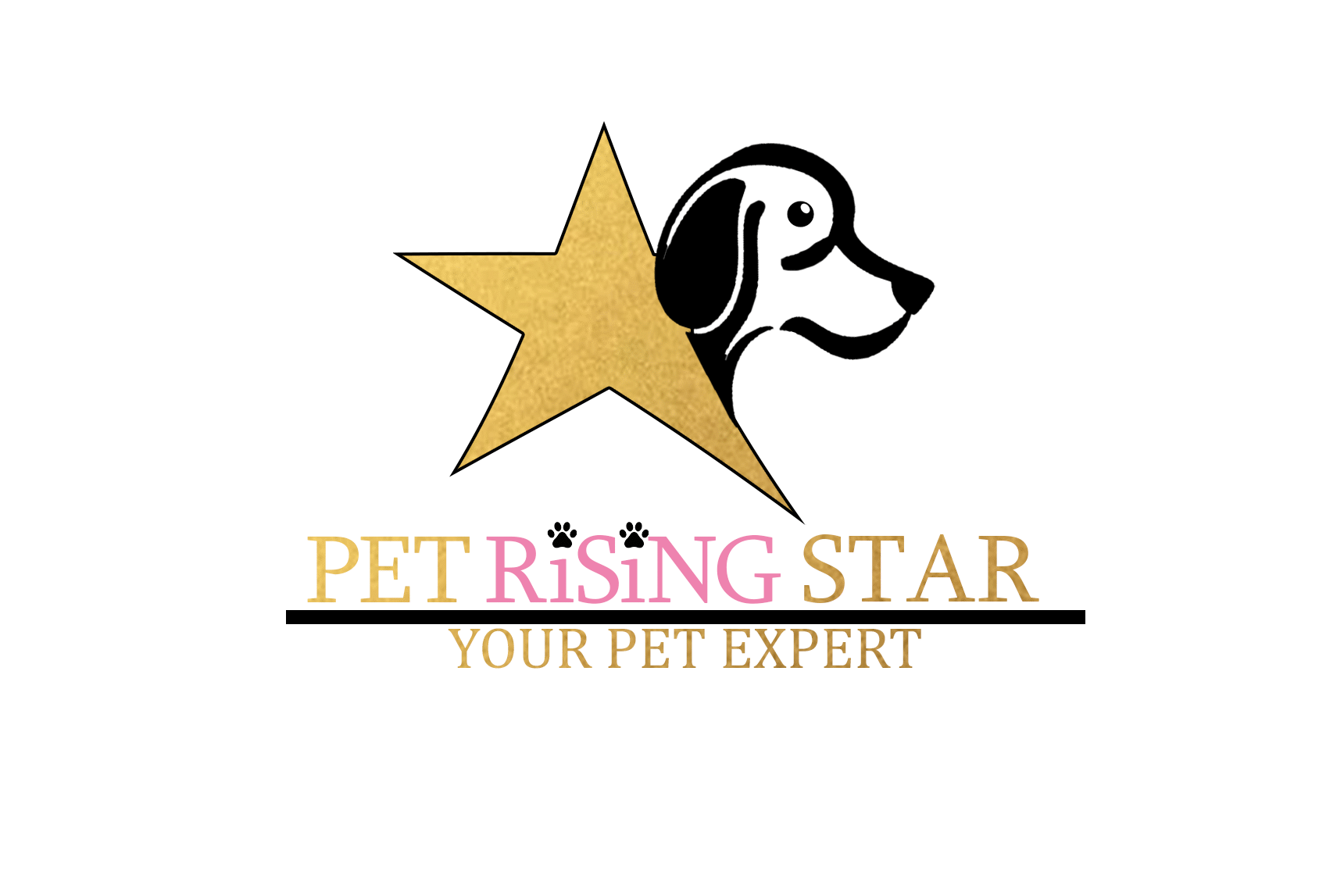 default-logo