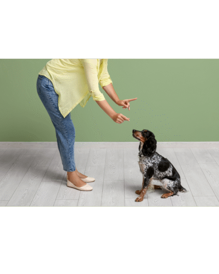 BEHAVIOR TRAINING