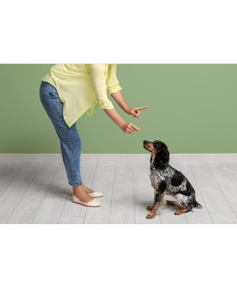 BEHAVIOR TRAINING