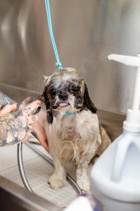 REGULAR BATH