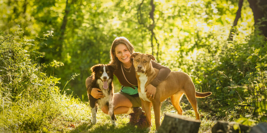 Online Dog Training Services in India